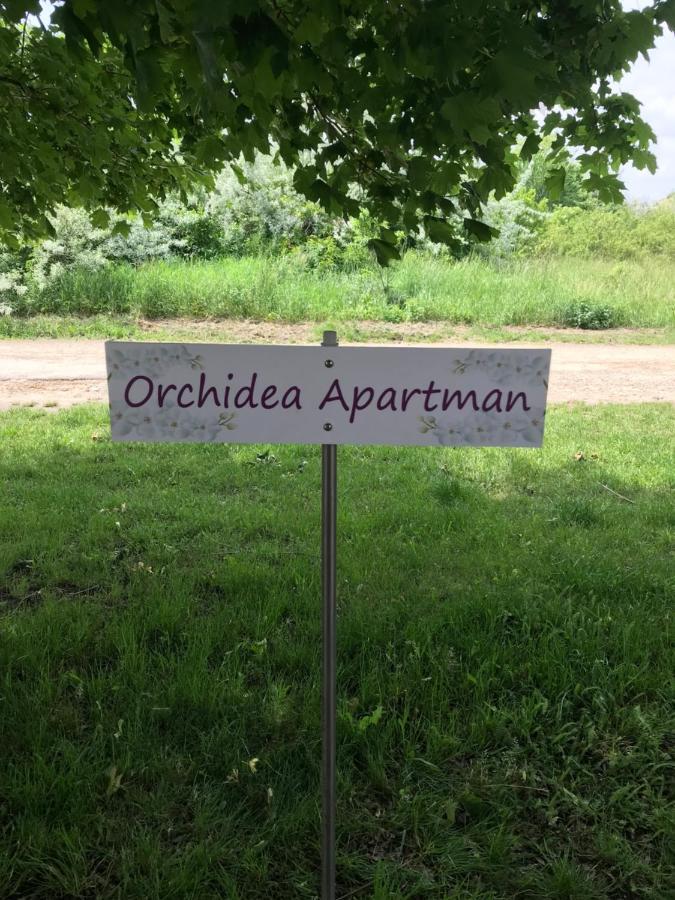 Orchidea Apartman 헤기코 외부 사진